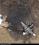 Beechcraft 99 Airliner archived incident photo