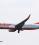 Boeing 737-800 source archive thumbnail
