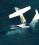 Cessna 208A Caravan archived incident photo